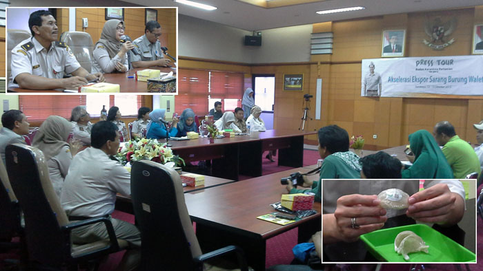 Sarang Walet Akhirnya Ekspor Langsung ke China setelah ....